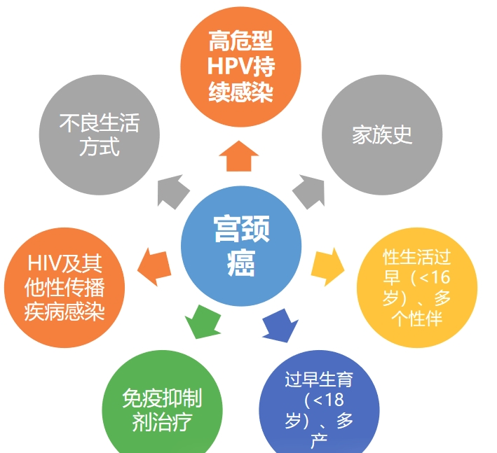 转载：宫颈癌筛查新策略，疫苗普及迎来转折点！郎景和院士、朱兰教授等权威专家 BMJ 联合发布