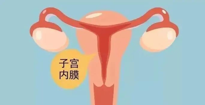 「试管婴儿」为什么医生要推迟胚胎移植的时间？