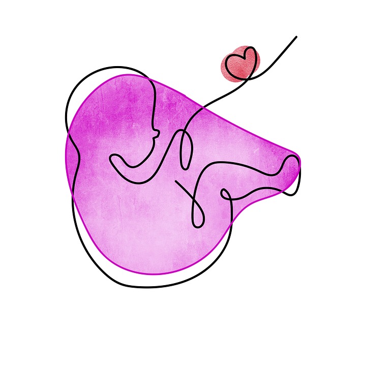 转载：PLoS Biology | 认知储备通过“延缓上调”保护老年大脑