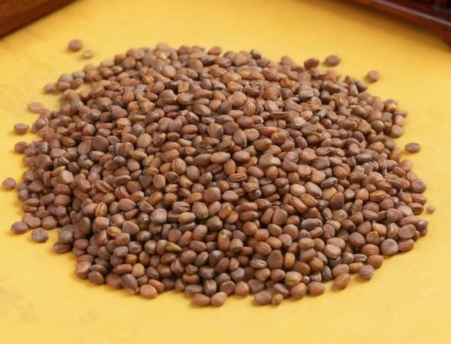 转载：【每周药食】消食除胀气的小种子，肚子不舒服时煮粥吃，让身体更舒服