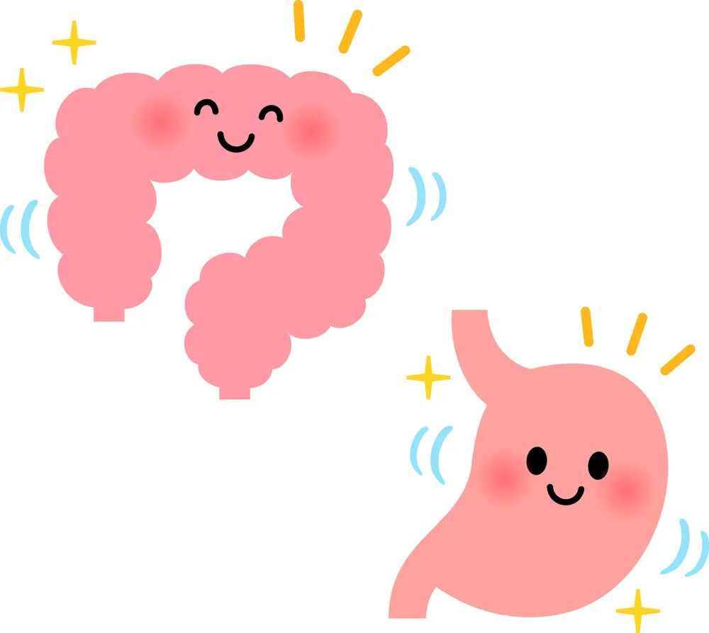 转载：胃肠防衰秘籍：六大黄金法则守护您的消化健康！