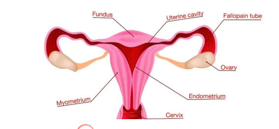 ScreenShot_2025-12-02_094350_499