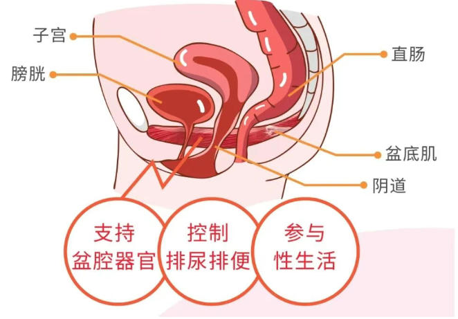 拒绝再忍！这个春节，让射频技术为你“紧”上添花