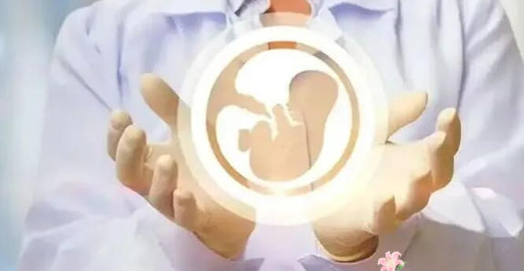 「试管婴儿」胚胎着床后有少量出血该怎么办？