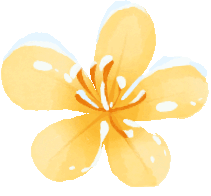 「试管婴儿」农村医保试管助孕能报销多少钱？